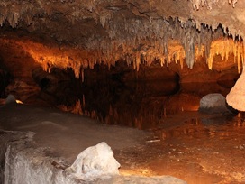 sightseeing-image