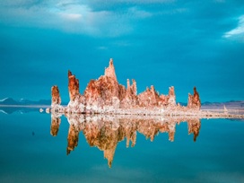 sightseeing-image