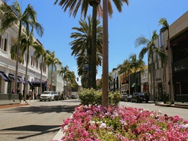 sightseeing-image